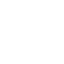 Global Icon